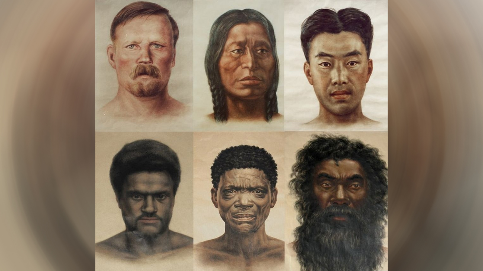 Расовые различия людей. Расы человечества. Этнический Тип. Антропологический Тип. Антропология расы.